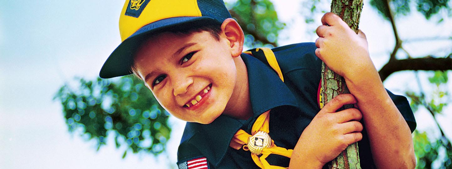 Boy scout climbing tree and smiling