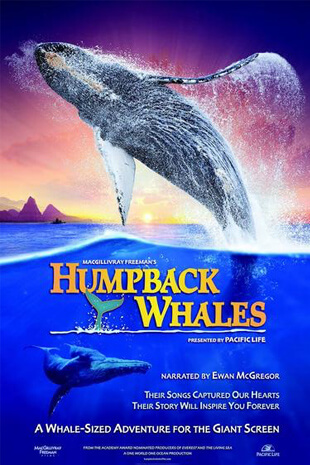 <em>Humpback Whales 3D</em>