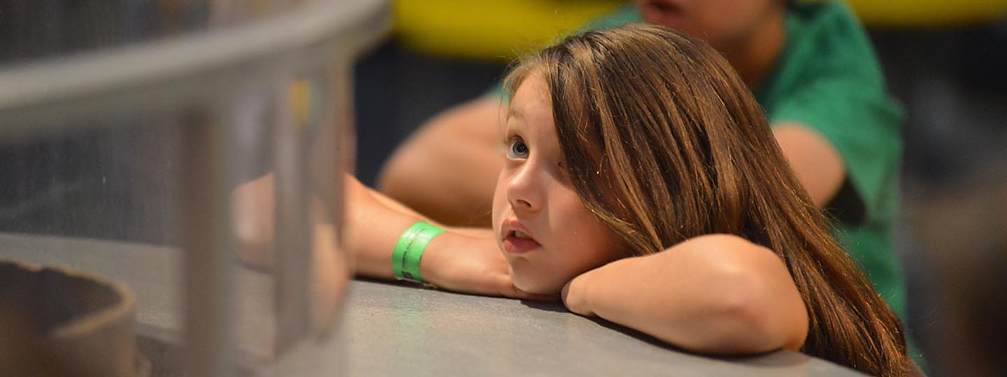 Young girl looking at exhibit